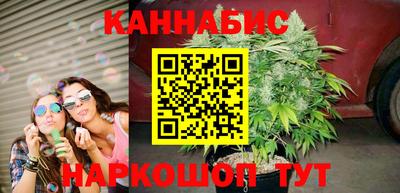 сатива Обь